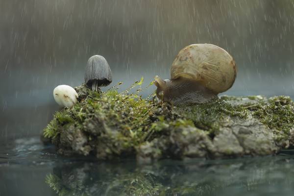 Photograph Robby Ahmad Rain on One Eyeland