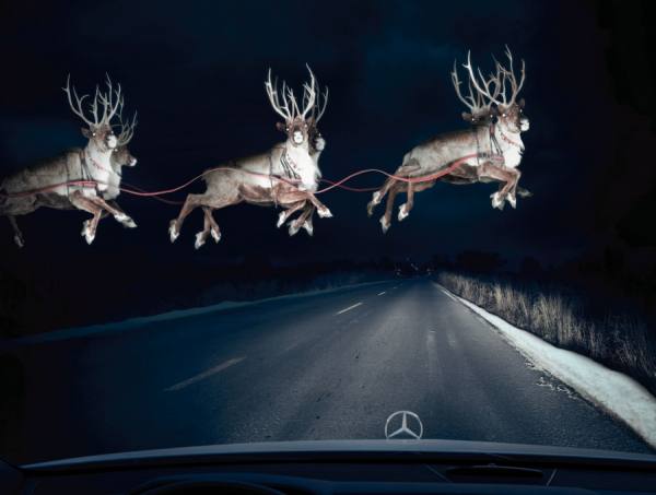 Photograph Philip Rostron Reindeer In Headlights on One Eyeland