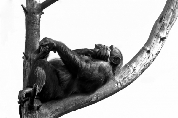 Photograph Gert Lavsen Relax on One Eyeland
