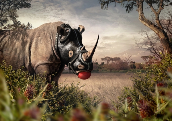 Photograph Garrigosa  Rhino on One Eyeland