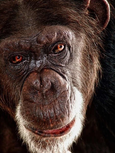 Photograph Mauro Risch Sadness on One Eyeland