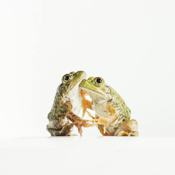 Photograph Agoes Sk Save The Last Dance For Me on One Eyeland