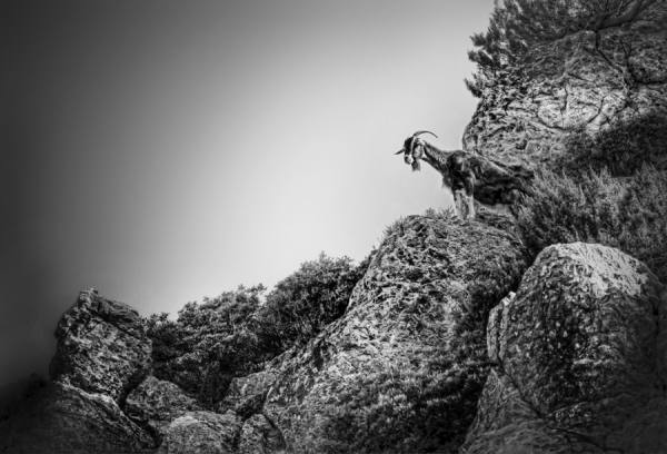 Photograph Andrzej Bochenski Scout on One Eyeland