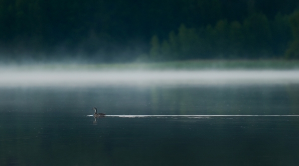 Photograph Mikko Lagerstedt Silent Moment on One Eyeland
