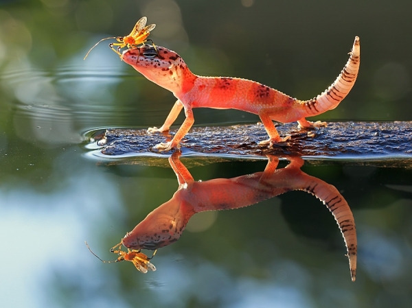 Photograph Shikhei Goh Sun Bath on One Eyeland