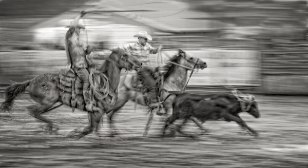 Photograph Bev Pettit Team Roping on One Eyeland