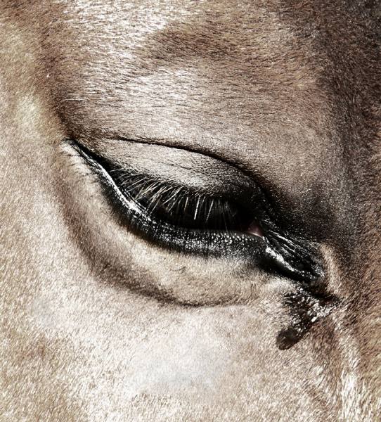 Photograph Bahar Akkoyun Tear on One Eyeland