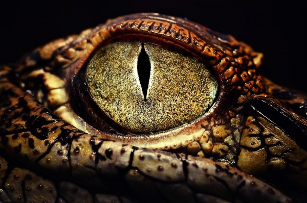 Photograph Asrya Vertic The Eye on One Eyeland
