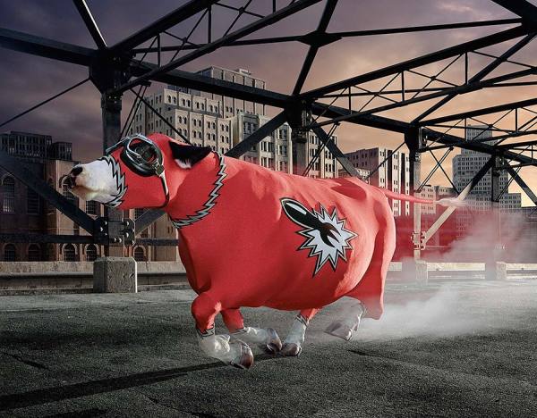 Photograph Glen Wexler The Gristle Missile on One Eyeland