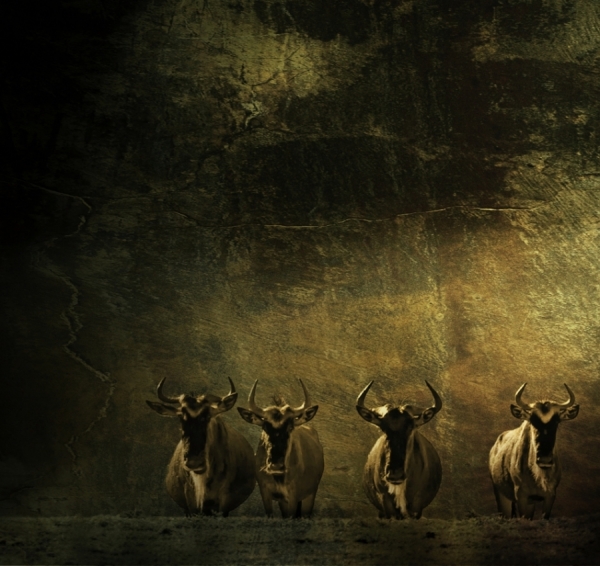 Photograph Piet Flour The Guardians on One Eyeland