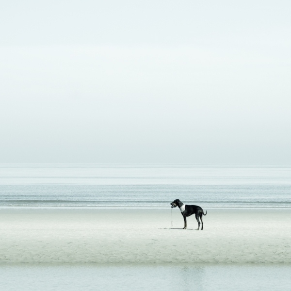 Photograph Carmen Spitznagel The Sea Ii on One Eyeland
