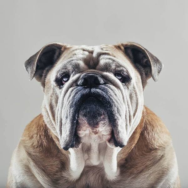 Photograph Ben Welsh Toro Is My Name on One Eyeland