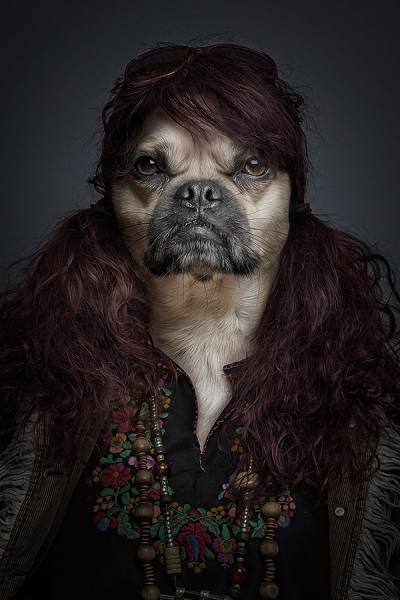 Photograph Sebastian Magnani Underdogs on One Eyeland