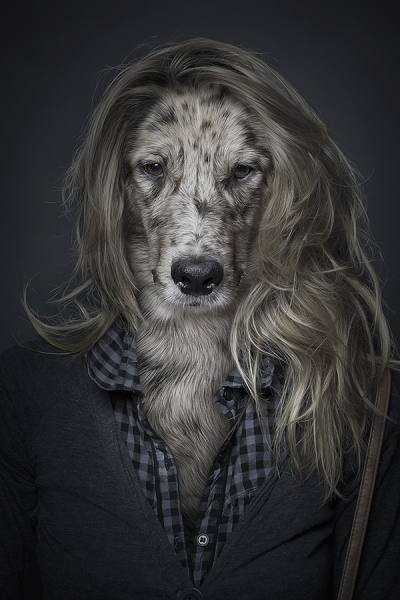 Photograph Sebastian Magnani Underdogs on One Eyeland