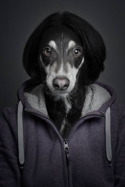 Photograph Sebastian Magnani Underdogs on One Eyeland