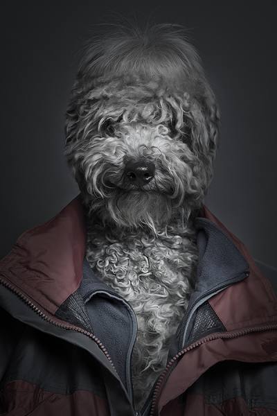 Photograph Sebastian Magnani Underdogs on One Eyeland