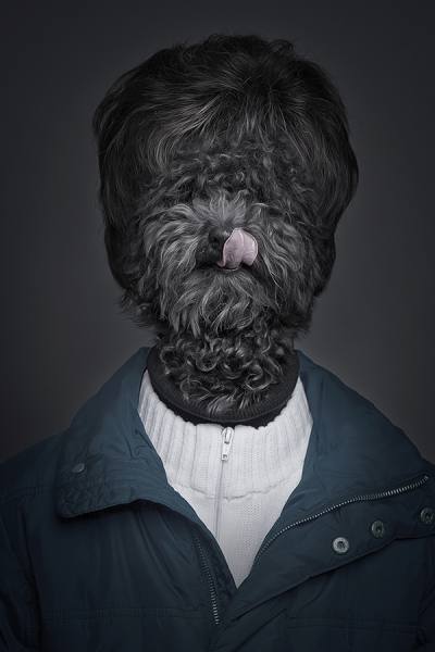 Photograph Sebastian Magnani Underdogs on One Eyeland