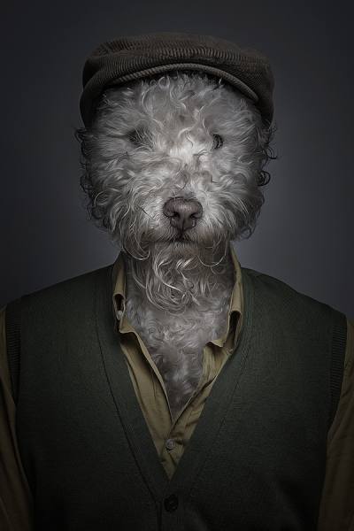 Photograph Sebastian Magnani Underdogs on One Eyeland