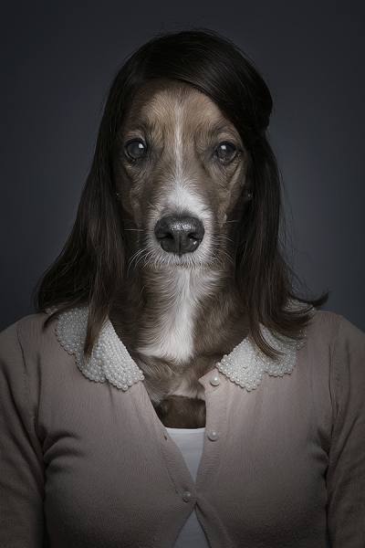 Photograph Sebastian Magnani Underdogs on One Eyeland