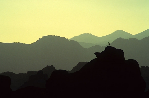 Photograph Mark Vincent Mueller Haze on One Eyeland