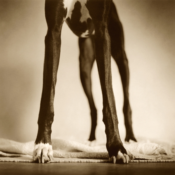 Photograph John Wagner Legs on One Eyeland