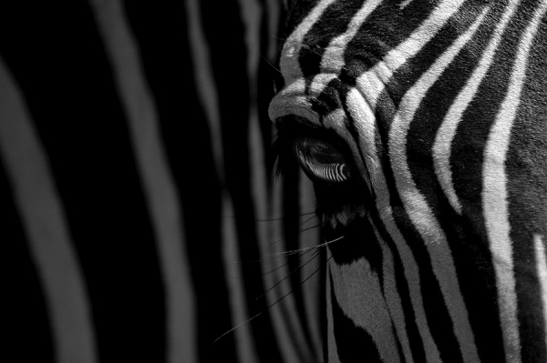 Photograph Petr Jan Juracka View on One Eyeland