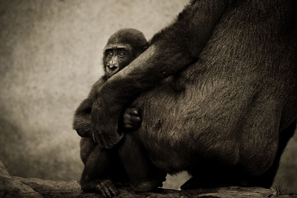 Photograph Natalie Manuel Protection on One Eyeland