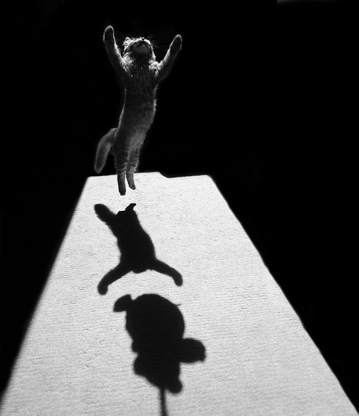 Photograph Jure Kravanja Edgar The Great on One Eyeland