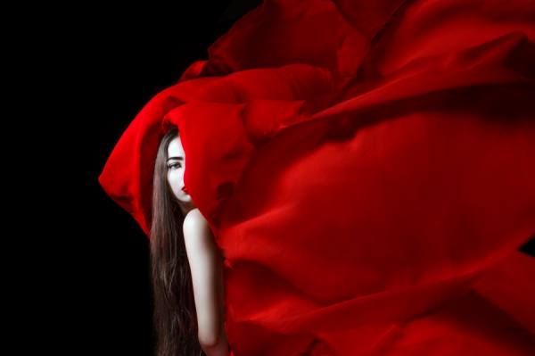 Photograph Elena Paraskeva Hibiscus on One Eyeland