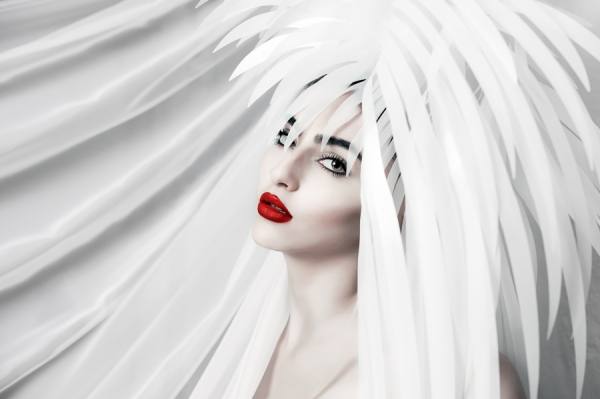Photograph Elena Paraskeva The Cockatoo on One Eyeland