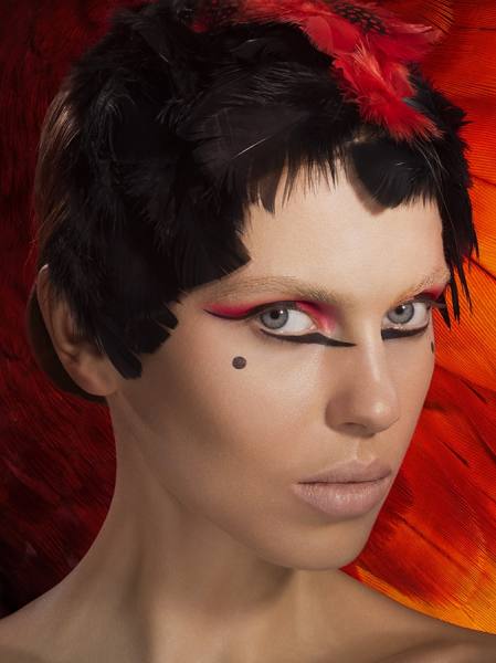 Photograph Jonathan Knowles Exotic Birds on One Eyeland
