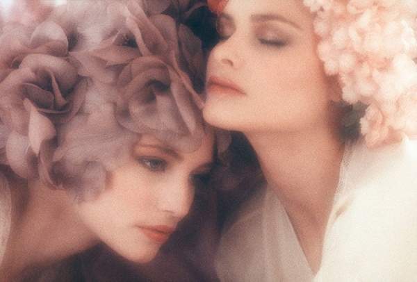 Photograph Nancy Brown Flower Heads on One Eyeland