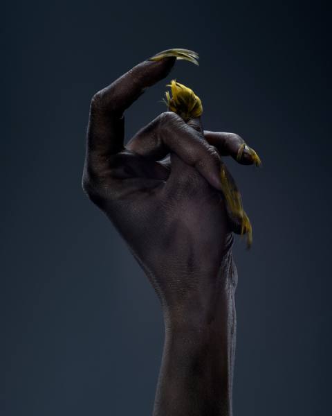 Photograph Maciej Jedrzejewski Hand_1 on One Eyeland