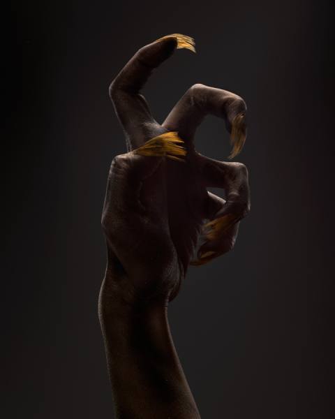 Photograph Maciej Jedrzejewski Hand_3 on One Eyeland