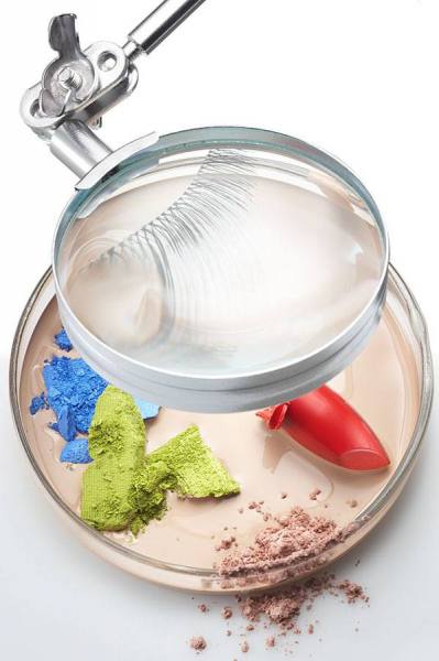 Photograph Paul Nelson Petri Dish on One Eyeland