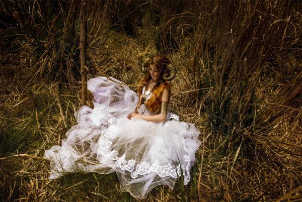Photograph Haseo Hasegawa Sheep Of The Gold Dream on One Eyeland