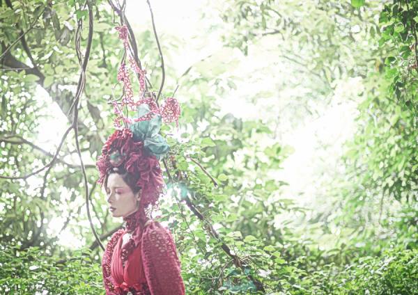 Photograph Kazuyuki Omori The Fairy In Woods on One Eyeland
