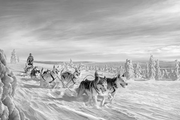 Photograph Antti Viitala Visit Finland 3 on One Eyeland