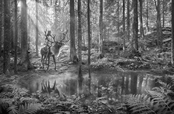 Photograph Antti Viitala Visit Finland 5 on One Eyeland