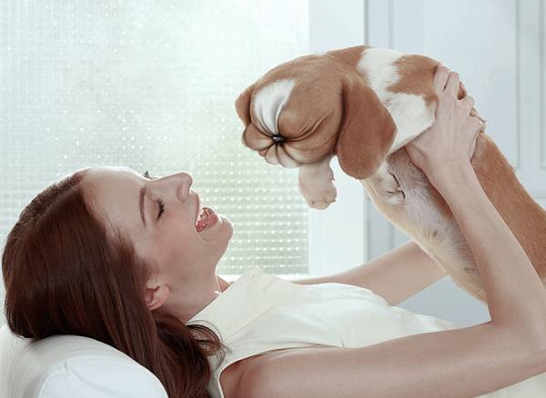 Photograph Chub Nokkaew Listerine_dog on One Eyeland