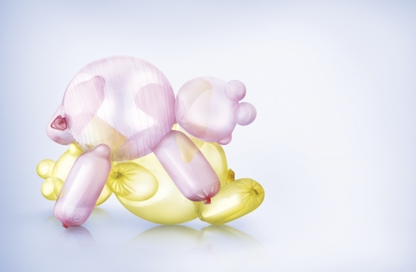Photograph Arian Camilleri Bears on One Eyeland