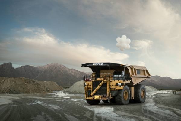 Photograph Matt Sartain Caterpillar on One Eyeland
