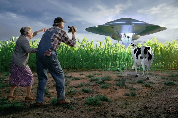 Photograph Glen Wexler Disembarking Cows on One Eyeland