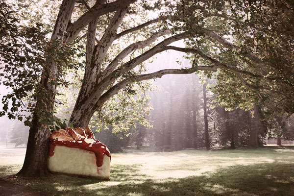 Photograph Diego Arrigoni Eliminate Sugar Excess Pie on One Eyeland