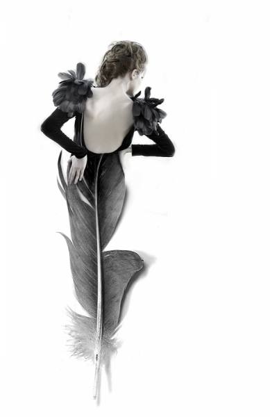 Photograph Yoppy Yohanes Feather on One Eyeland