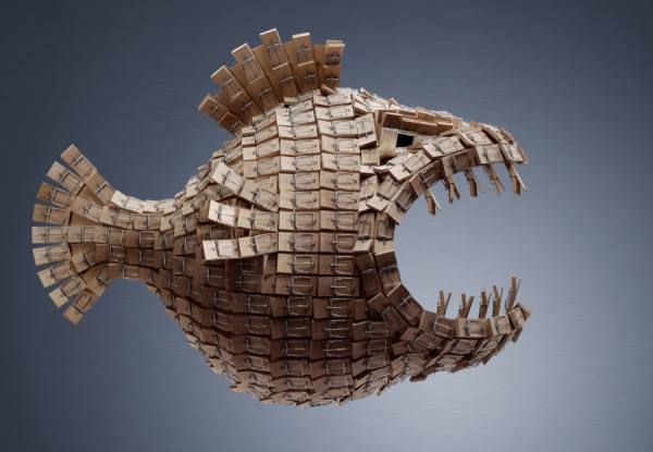 Photograph Ray Massey Fish on One Eyeland