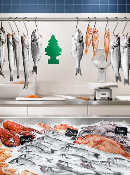 Photograph Dirk Fellenberg Fish Counter on One Eyeland