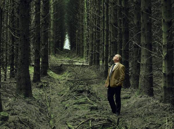 Photograph Craig Easton Forestry on One Eyeland