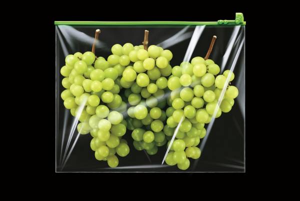 Photograph Marcus Hausser Grapes on One Eyeland