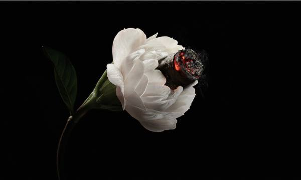 Photograph Chub Nokkaew Jasmine on One Eyeland